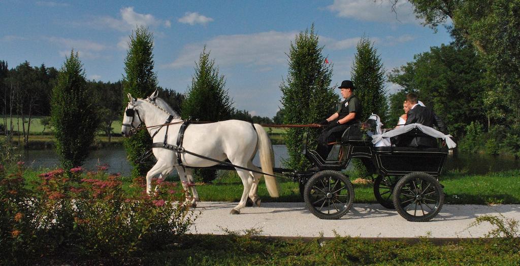 Вилла Statek Sedlecko Экстерьер фото